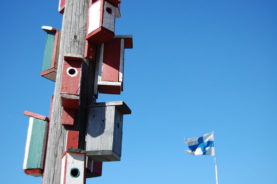 Birdboxes, photo Miika Heikkonen.